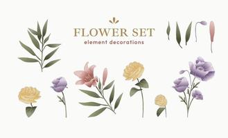 blommor element dekorationer uppsättning vektor