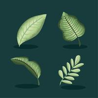 vier Blätter Natur vektor