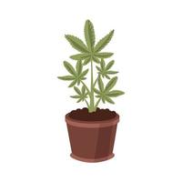 medizinische Canabbis-Pflanze vektor