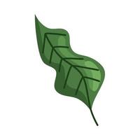 grönt blad växt vektor