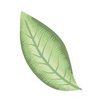 grüne Blätter Naturpflanze vektor