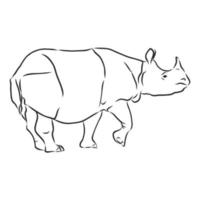 noshörning vektor skiss
