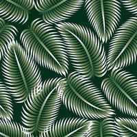 isolierte palmblätter tropische nahtlose musterpflanze auf nachthintergrund. Naturhintergrund mit Palmblättern. Tapete dekorativ. Dschungeldruck. modische Stoffstruktur. Naturtapete. Herbst vektor