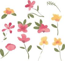 schöne aquarell botanische wilde flowers.floral vektorillustration. vektor