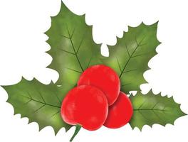 weihnachtssymbol-vektorillustration. Weihnachtsstechpalmenblätter und -niederlassungen mit Aquarellvektorillustration der roten Beeren des Winters für dekoratives Element. vektorsatz von weihnachts-immergrünen stechpalmenblättern. vektor