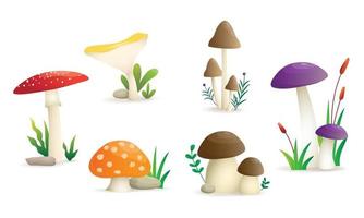 Wilde Pilze setzen Illustration, isoliert sechs Arten von Pilzen auf weißem Hintergrund
