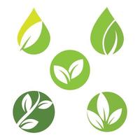grünes Blatt Logo Ökologie Natur Element Vektor Icon
