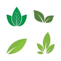 grön blad logotyp ekologi natur element vektor ikon