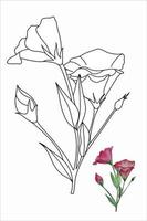 Eustoma-Blume, Lisianthus in Doodle-Stil-Vektorillustration für Malbuch, Malseiten für Kinder und Erwachsene vektor