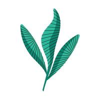 grön höst leafs växt vektor