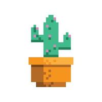 verpixelte Kaktus-Zimmerpflanze vektor