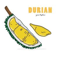 Durian utsökt frukt vektor design. Durian frukt hela och skalad. platt konst tecknad serie teckning design. vektor isolerat på vit bakgrund.