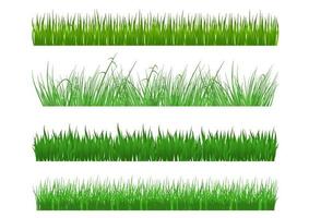 blad med grönt gräs vektor