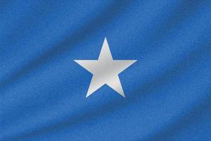 Nationalflagge von Somalia vektor