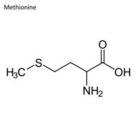 Skelettformel von Methionin vektor