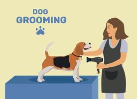 hund grooming. Översikt illustration för en salong på effekter på djur. hund skönhet salong, tvätt, sällskapsdjur grooming. söt stor flicka sitter och torkar ull. vektor