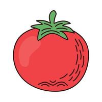 frisches Tomatengemüse vektor