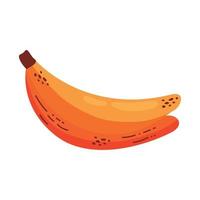 bananer färsk frukt friska vektor