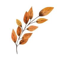 Herbstblätter. aquarellillustration vektor