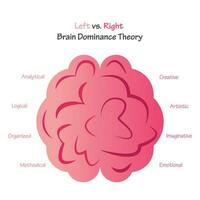 vänster mot rätt hjärna dominans teori vektor