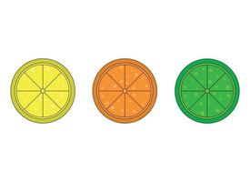 citrus- design illustration isolerat på vit bakgrund vektor