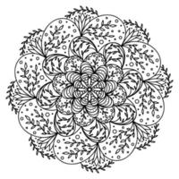 florale, handgezeichnete Aster-Mandala-Blumen im Doodle-Stil isoliert auf weißem Hintergrund. malseite für erwachsene und kinder, dekorieren kinderspielzimmer oder grußkarte. Chrysantheme, Lotus. vektor