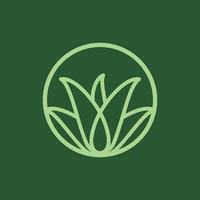 Blatt Aloe Vera Natur modernes Logo vektor