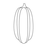 pumpa med en svart översikt. vektor illustration av en ritad för hand pumpa på en vit bakgrund. ett element för höst dekorativ design, ett inbjudan för halloween.pumpa ikon vit bakgrund