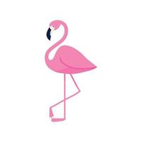 flamingo fågel ikon vektor