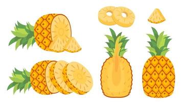 sammlungssatz des karikaturfrucht-ananasobjekts vektor