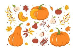 uppsättning med pumpa, höst färgrik löv och frukt. kort design Lycklig tacksägelse. vektor illustration