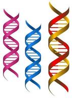 DNA-Genetik-Elemente vektor