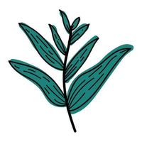 gren leafs lövverk vektor