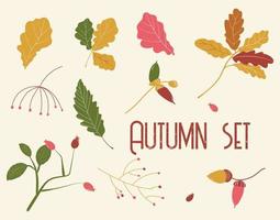 Herbstblatt-Set. vektorillustration von blättern, beeren und eicheln in orange und rosa. Zeichnungen von Herbstpflanzen für einen Druck oder eine Anzeige. vektor