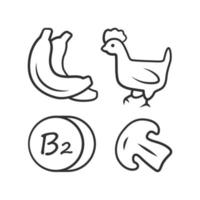 Vitamin b2 lineares Symbol. Bananen, Geflügel und Pilze. gesundes Essen. Riboflavin natürliche Nahrungsquelle. dünne Liniendarstellung. Kontursymbol. Vektor isoliert Umrisszeichnung. editierbarer Strich