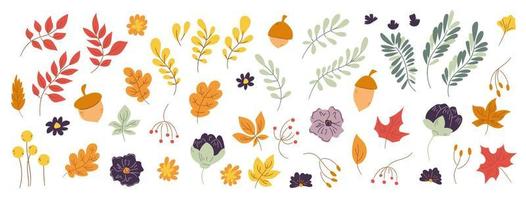 ig-doodle-set von handgezeichneten herbst-blumenmusterelementen. Herbstelemente Blätter, Blumen auf weißem Hintergrund für Herbst, landwirtschaftliche Ernte, Thanksgiving oder Halloween-Designs vektor