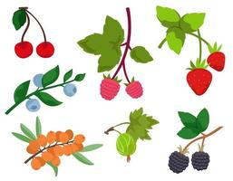 uppsättning av annorlunda bär kvistar. naturlig mat i tecknad serie stil. vektor