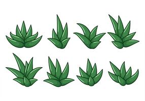 Gratis Maguey Vector