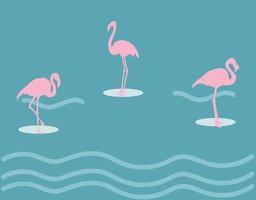 illustrationer flamingo på vatten vektor