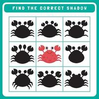 Match the correct shadow