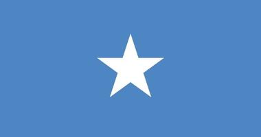 somalia-flagge mit ursprünglichem rgb-farbvektor-illustrationsdesign vektor