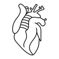 Symbol für innere Organe des menschlichen Herzens für Apps oder Websites vektor
