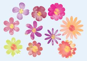 Vector Aquarell Helle Blumen Elemente