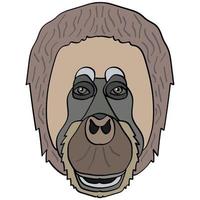 orang-utan-kopfillustration, flaches logo. Cartoon-Bild-Vektorgrafiken. vektor