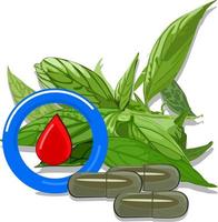 illustration vektor av antidiabetiker ört- medicin av andrografi extrahera, indonesiska kallad sambiloto blad med diabetes logotyper och kapslar