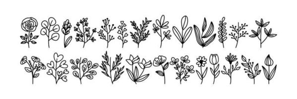 en samling av växt och blomma skisser vektor