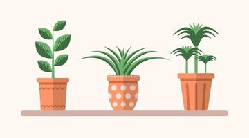 vektor grön platt växter i kastruller på de hylla. enkel platt interiör illustration. blommig dekorativ element för design, spel, begrepp.