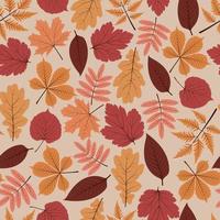 Mustervektor Herbstblätter - Birkenblatt, Ahorn, Eberesche, Eiche, Kastanie, Pappel vektor