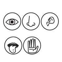 hand dragen klotter fem känner vektor ikon illustration uppsättning