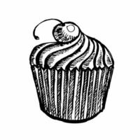 Cupcake von Hand gezeichnet vektor